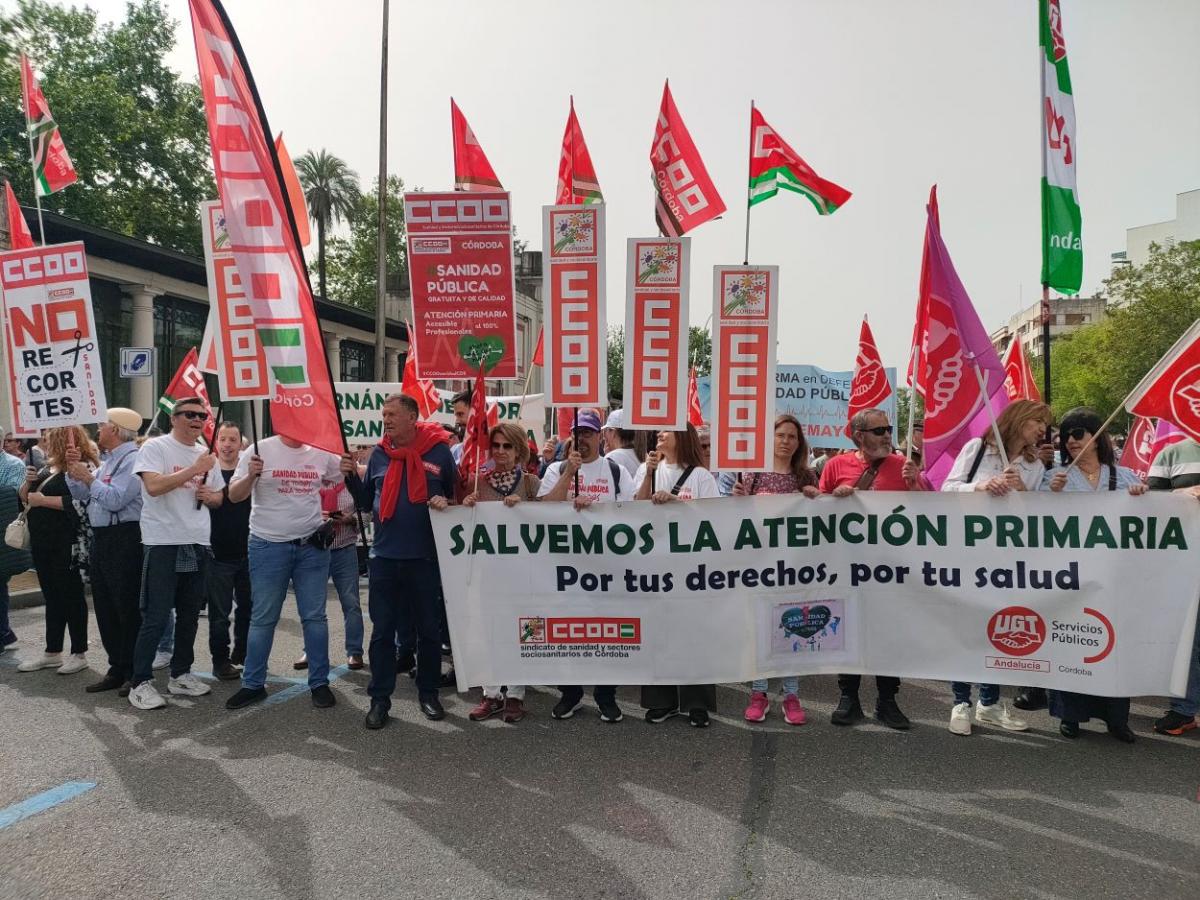 Unas 3.000 personas se han sumado a la manifestacin en defensa de la sanidad pblica en Crdoba.
